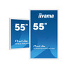 55" PCAP WHITE Anti-glare Bezel Free 15-