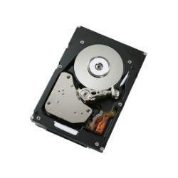 300GB 15K 3.5-inch HDD for DS3