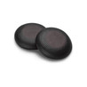 PLY BW BW300 EarCushion 2