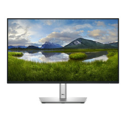 Dell 24" P2425H FHD Monitor