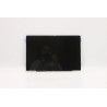OLED display module for