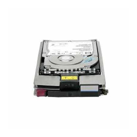 300GB FIBER CHANNEL HDD 15K