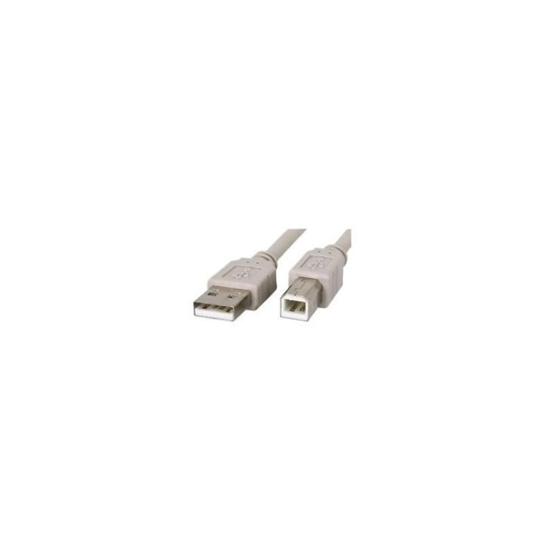 USB cable, 10ft (A to B)