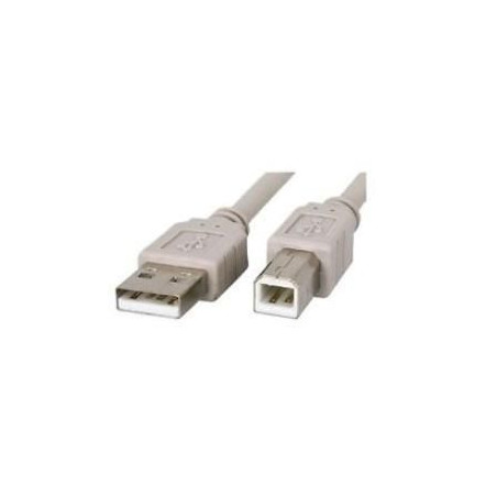 USB cable, 10ft (A to B)