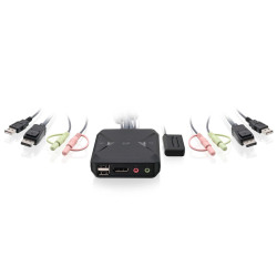 2 port USB DisplayPort Cable