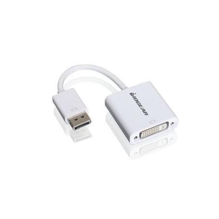 DisplayPort to