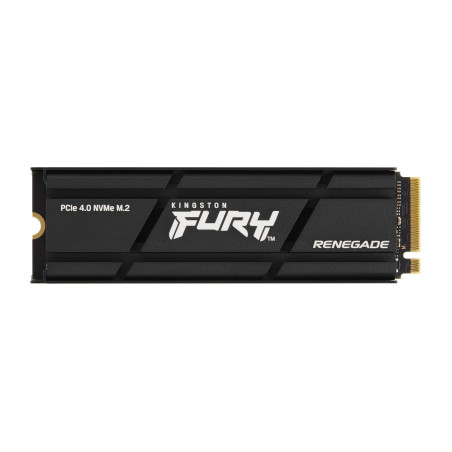 4000G RENEGADE NVMe SSD W/HEATSINK
