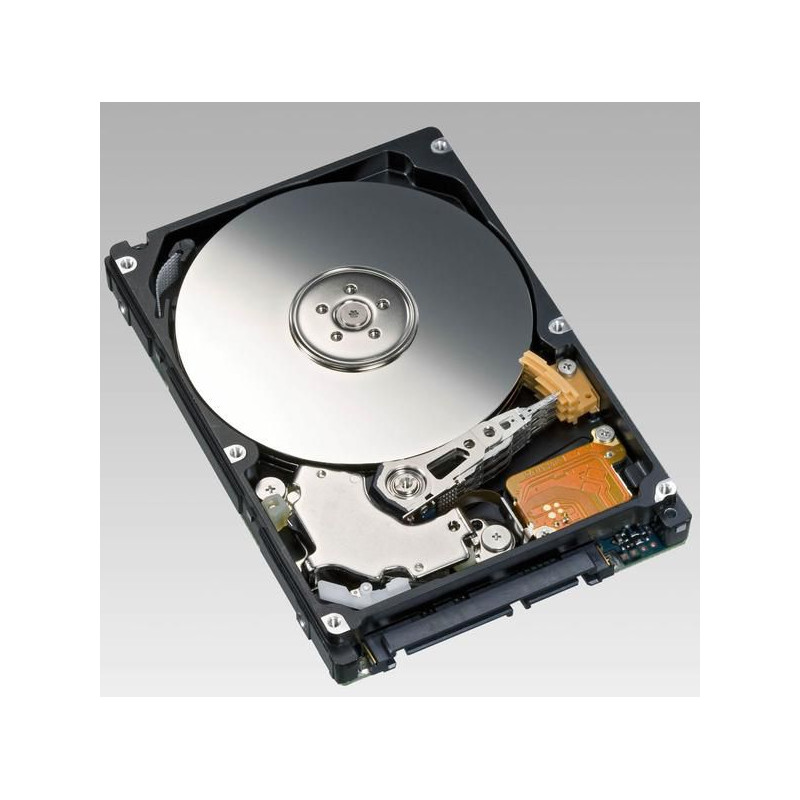 500GB 2,5" SATA 5400rpm