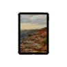 Apple iPad 11" 11th Gen Scout LT Black | APLIUM