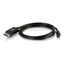 2m Mini-DisplayPort to DP Cable-Black | APLIUM