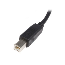 StarTech.com Cable USB de 1m para Impresora - 1x USB A Macho | APLIUM