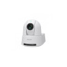 Sony 4K30P PTZ camera with 12x zoom wht | APLIUM