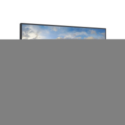 CTO/Dell 22 Monitor P2222H 54.6cm 21.5'' | APLIUM