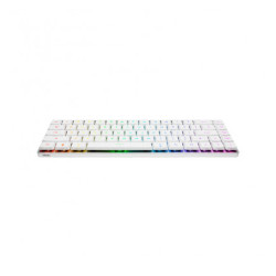 Teclado Asus Falchion Rx Lp | APLIUM