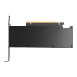 PNY VCNRTXPRO2000-PB Tarjeta gráfica NVIDIA RTX PRO 2000 Bla | APLIUM