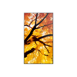 Multisync M982 98 In 550CD/M2 24/7 | APLIUM