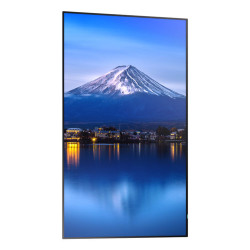 Multisync P506 50 In 700CD/M2 24/7 | APLIUM