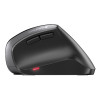 Cherry Mw 4500 Black Wireless Ergonomic Mouse USB | APLIUM