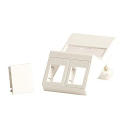 Lanview LVN126105 - Wall plate, angled, for 2 x | APLIUM