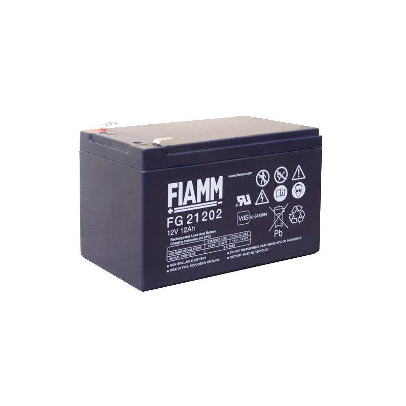 12 V 10 AH Battery