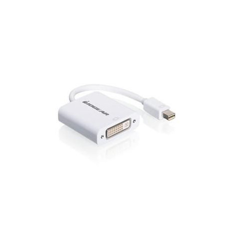 Mini DisplayPort to