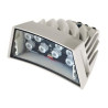 White Light 60?, 24Vac