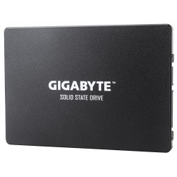 Gigabyte GP-GSTFS31256GTND - Internal Solid State Drive | APLIUM
