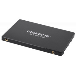Gigabyte GP-GSTFS31256GTND - Internal Solid State Drive | APLIUM