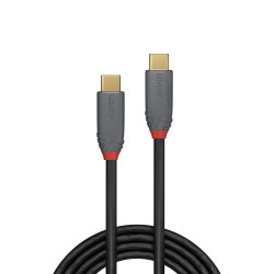 Lindy 36900 - 0.5M Usb 3.2 Type C Cable, 5A | APLIUM