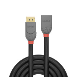 Lindy 36496 cable DisplayPort 1 m Negro | APLIUM