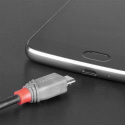 Lindy 36891 - 1M Usb 2.0 Type C To Micro-B | APLIUM
