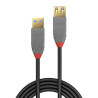 Lindy 36761 - 1M Usb 3.2 Type A Extension | APLIUM