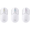 HyperX Pulsefire Haste 2: ratón gaming inalámbrico (blanco) | APLIUM