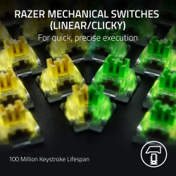 Teclado Razer Blackwidow V4 Pro Green Switch (USA) (RZ03-046 | APLIUM