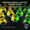 Teclado Razer Blackwidow V4 Pro Green Switch (USA) (RZ03-046 | APLIUM