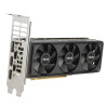 ASUS RTX5060-O8G-LP-BRK NVIDIA GeForce RTX 5060 8 GB GDDR7 | APLIUM
