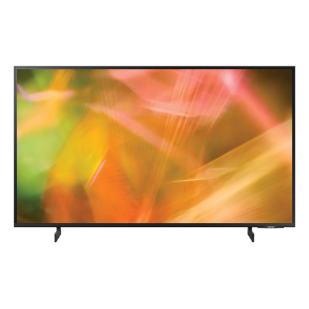 65AU8000 Professional Hotel TV 65"