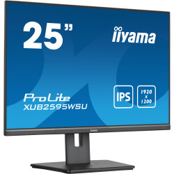 25" IPS-1920x1200 300cd/m² VGA HD