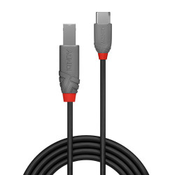 Lindy 36940 - 0.5M Usb 2.0 Typ C An B | APLIUM
