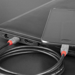 Lindy 36893 cable USB USB 2.0 3 m USB C Micro-USB B Negro | APLIUM