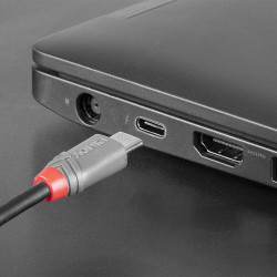 Lindy 36893 cable USB USB 2.0 3 m USB C Micro-USB B Negro | APLIUM