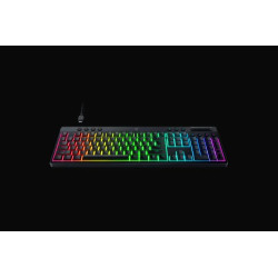 Razer BlackWidow V4 Low-Profile HyperSpeed teclado Juego USB | APLIUM