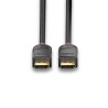 Lindy 36521 cable DisplayPort 2 m Negro | APLIUM