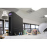 Smar Tups Srt 3000VA 230V In | APLIUM