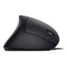 Mouse Universal Right-Hand | APLIUM
