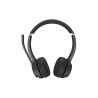Bluetooth Stereo Headset | APLIUM