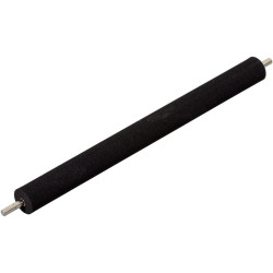 Transfer Roller