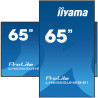 Monitor Iiyama 65" , UHD IPS Panel, Haze 1%, 800CD/M, Horiz | APLIUM
