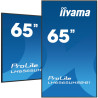 Monitor Iiyama 65" , UHD IPS Panel, Haze 1%, 800CD/M, Horiz | APLIUM