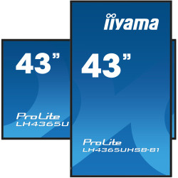 Monitor Iiyama 43" , UHD IPS Panel, Haze 1%, 800CD/M, Horiz | APLIUM